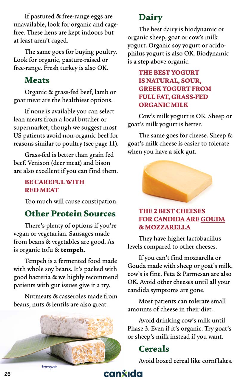 candida-diet-pdf-sample-1-page