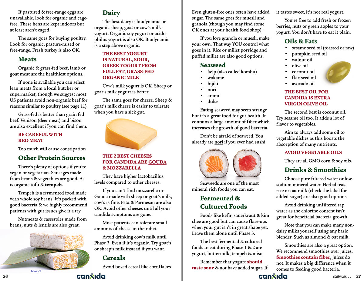 canxida-protocol-candida-sample-spread-optimized