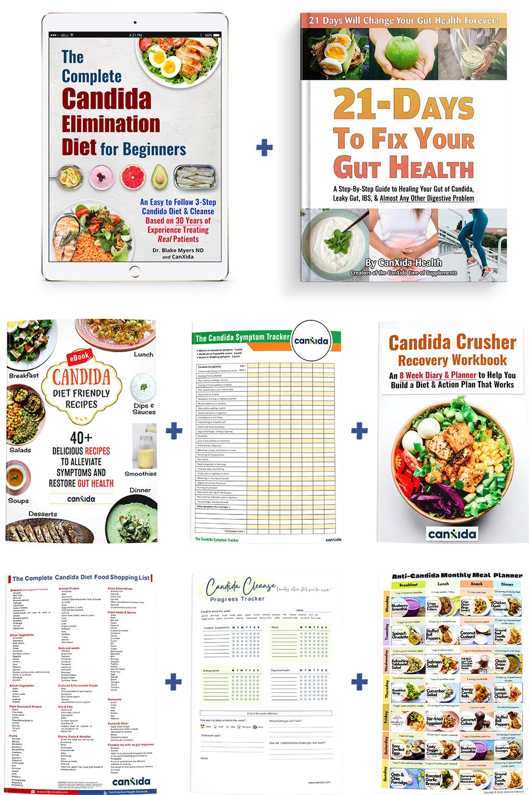 free-ebook-bundle-V3.1---2025-(short)